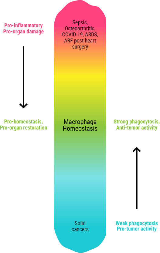 Title: Exploring the World of Pure-Color Tie Distribution: A Comprehensive Guide