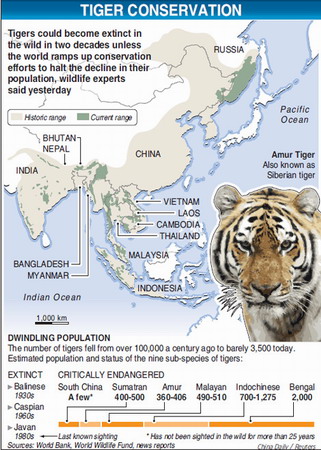 Title: China Tiger Ties: A Cultural Icon Steered by Tradition and Innovation