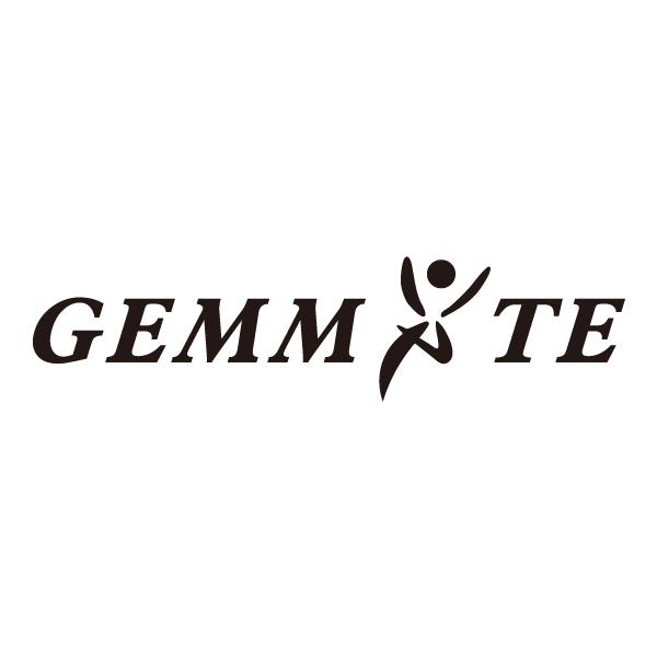 Gemstone Tiepin Brand Logo Images