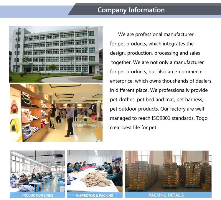 Title: Xin Cai ties factory: A Legacy of Tradition and Innovation