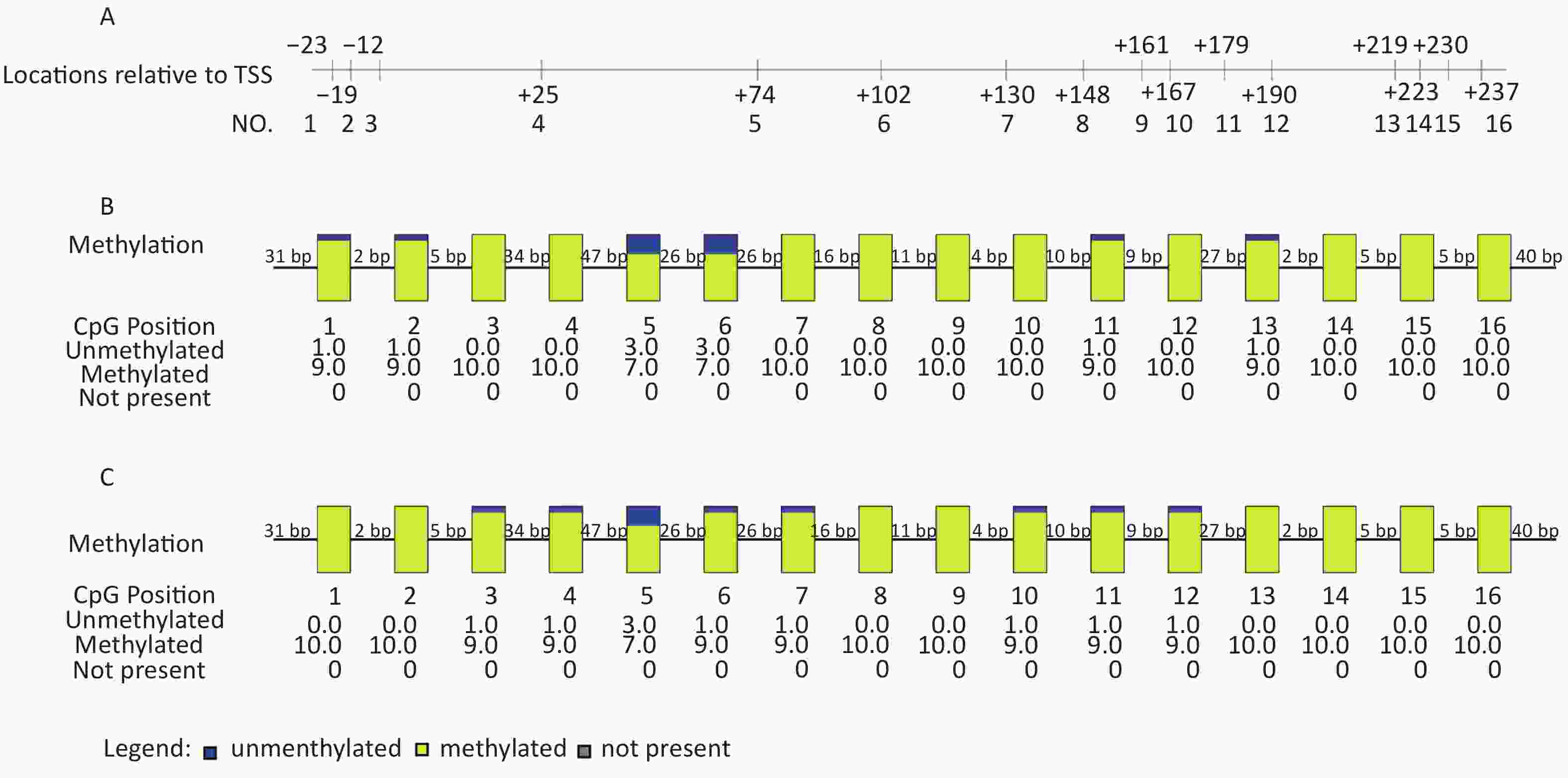 Title: Ranking of Shengzhou Necktie Factories: A Comprehensive Analysis