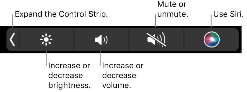 Title: Mastering the Art of Slow-Motion 8-Button Ties