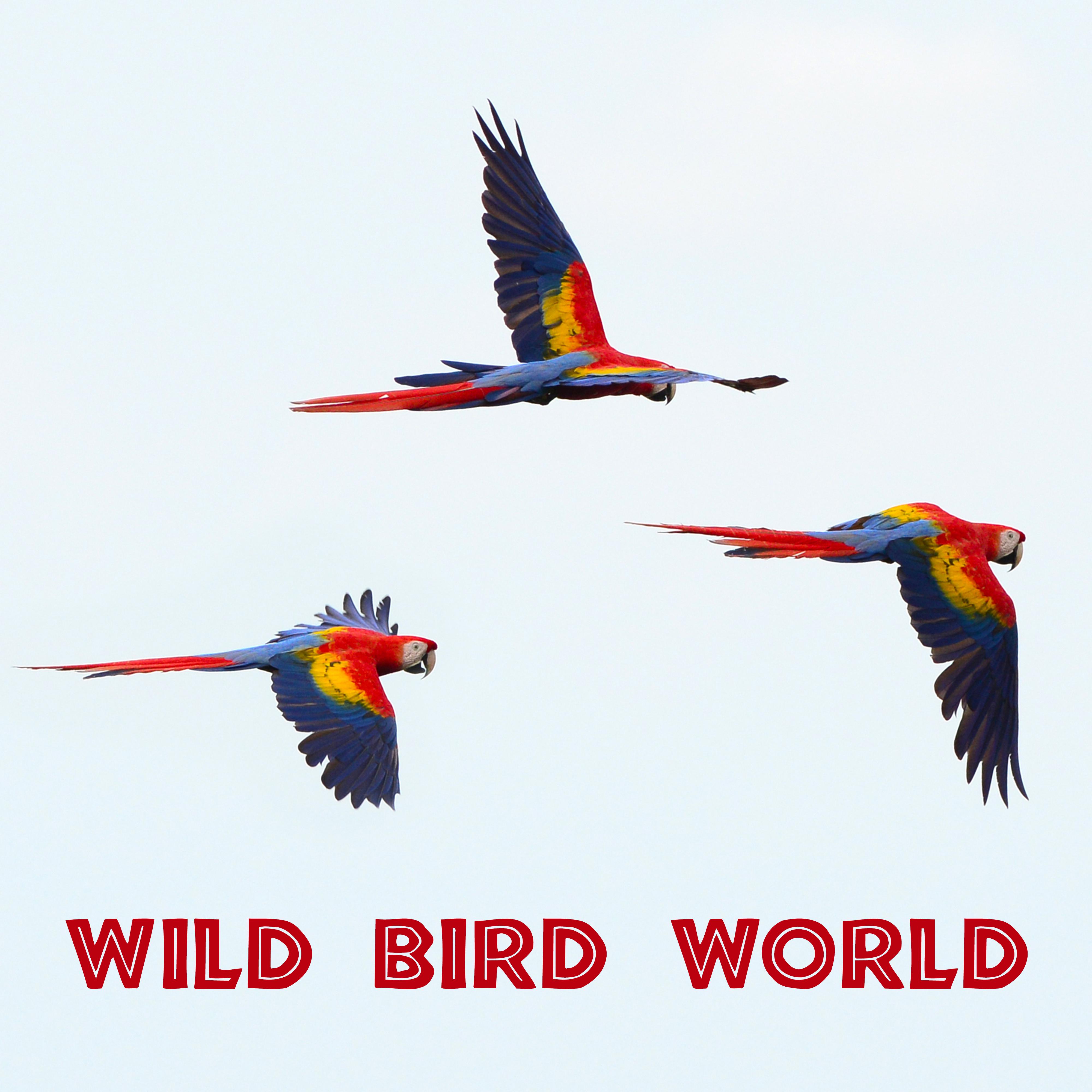 Title: The Enchanting World of migratory bird-themed Ties