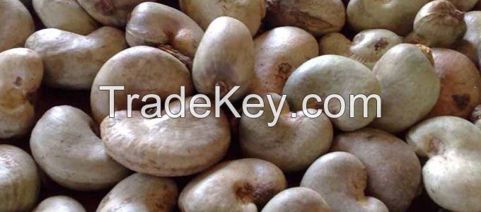 Title: Wholesale cashew flower ties: A Trendy and Elegant Accessory for Your Business