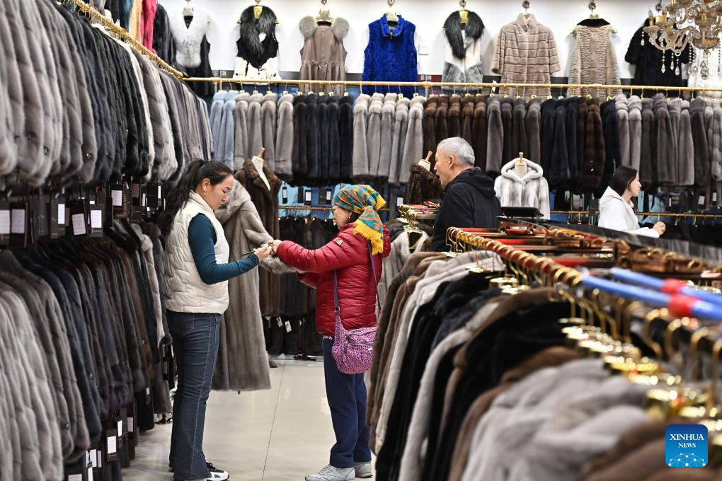 Exploring the Best Wholesaler Stores in Shijiazhuang for Ties: An In-Depth Guide