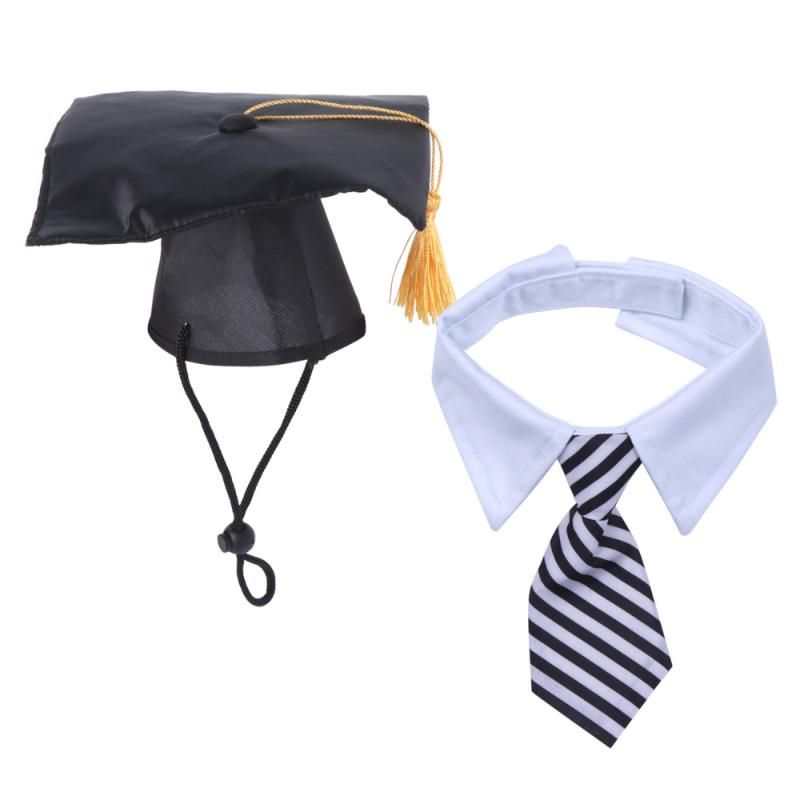 Top Brands for Graduation Ties for Men