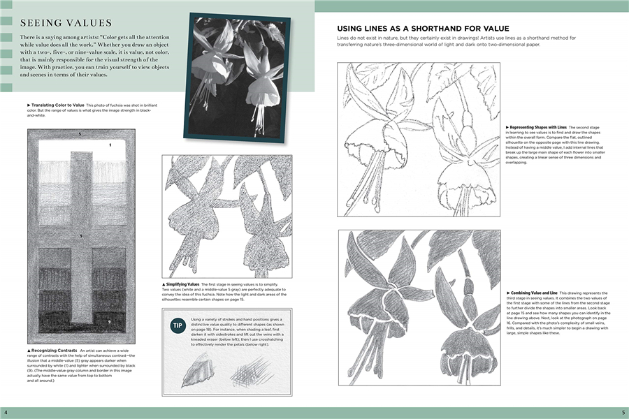 Title: Mastering the Art of Drawing Tie Patterns: A Comprehensive Guide