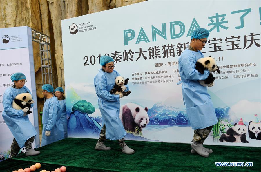 Title: Shanghai Panda Brand Tie Factory: A Legacy of Excellence in Tailoring