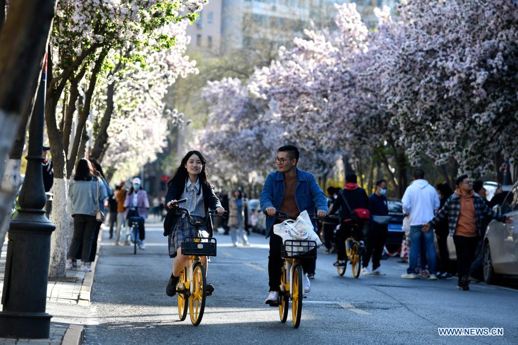 Title: The Rise of Tianjin White-Collar Bicycles: A New Trend in Urban Transportation