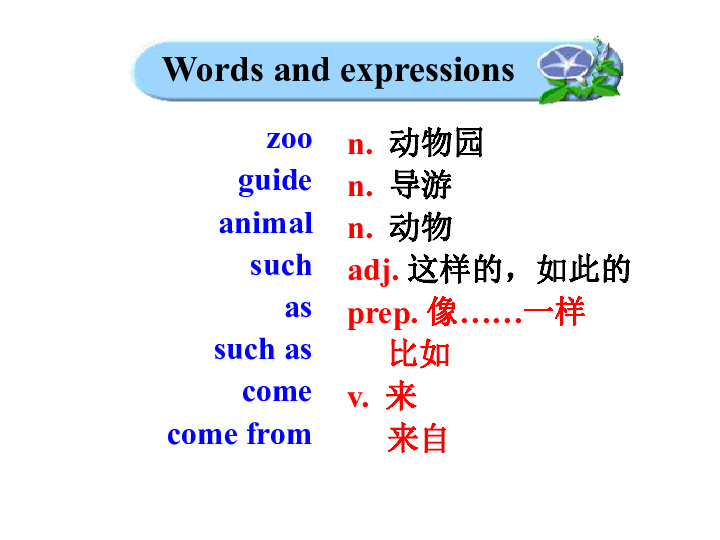 Title: A Comprehensive Guide to Chinese Tie Knotting: A Slow Motion Tutorial