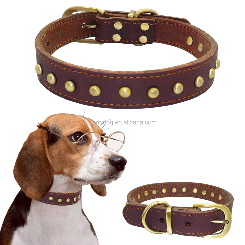 The Best Brand of Dog Collars