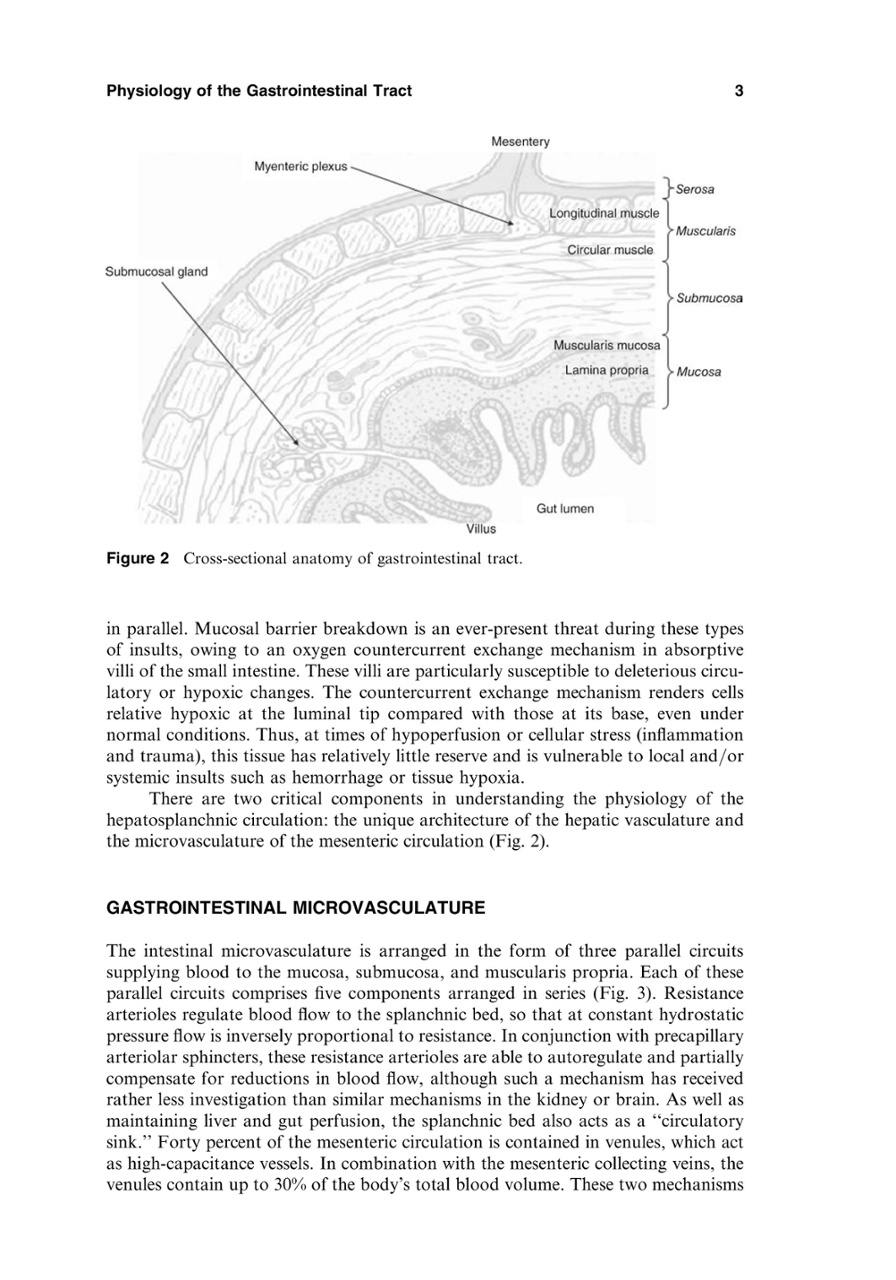 Title: The Art and Science of Geographical Ties