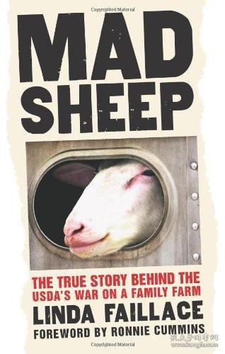 The Story of a Sheeps Tie