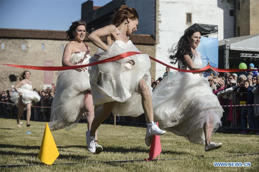 Title: Can Wedding Ties Have Stripes? The Dos and Donts of Matching Tie Knots with Bridesmaid Dresses