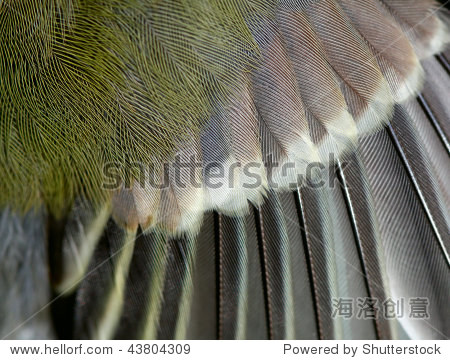 Title: A Simple and Elegant Way to Tie a Bow Tie with Paper Wings