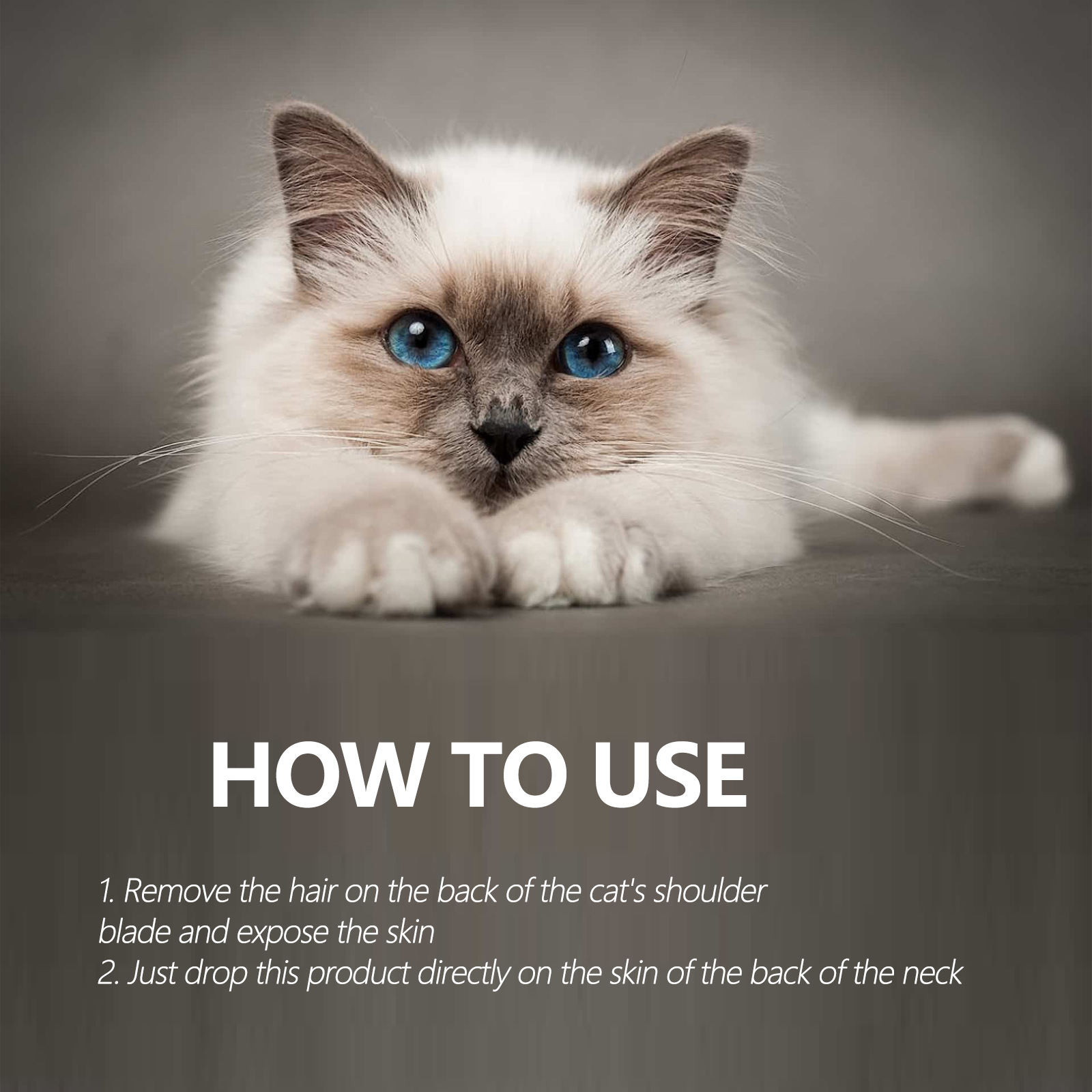 Creating a Kitten Tie: A Step-by-Step Guide for Animal Lovers