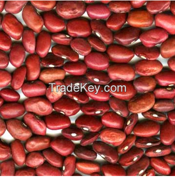 Title: The Price of Red Bean Ties: A Comprehensive Guide