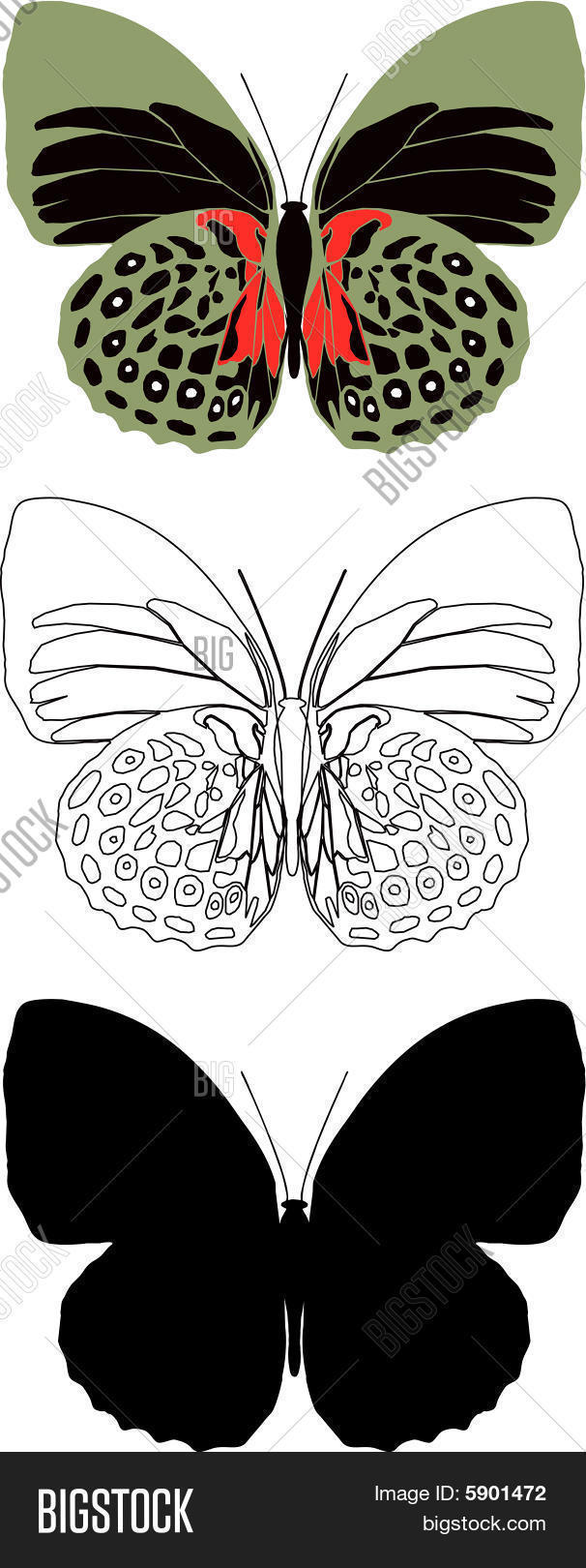 Butterfly Tie Pattern Diagram