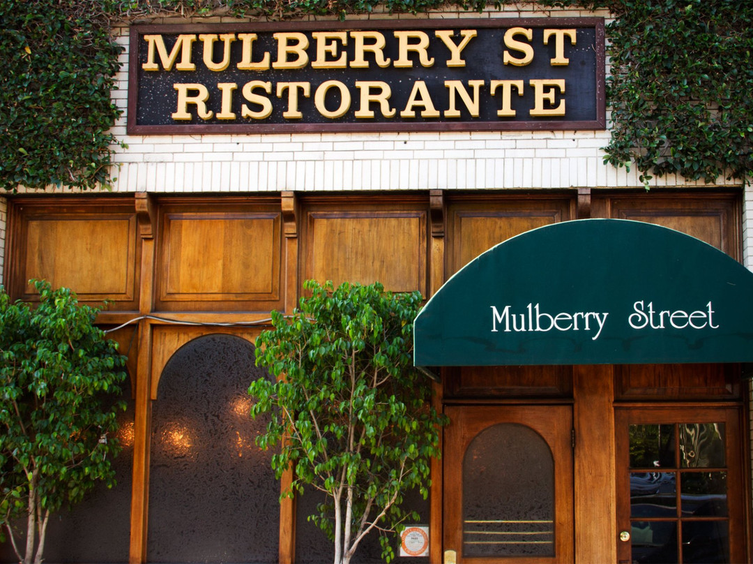 Title: Leading Enterprises Driving the Mulberry Industry