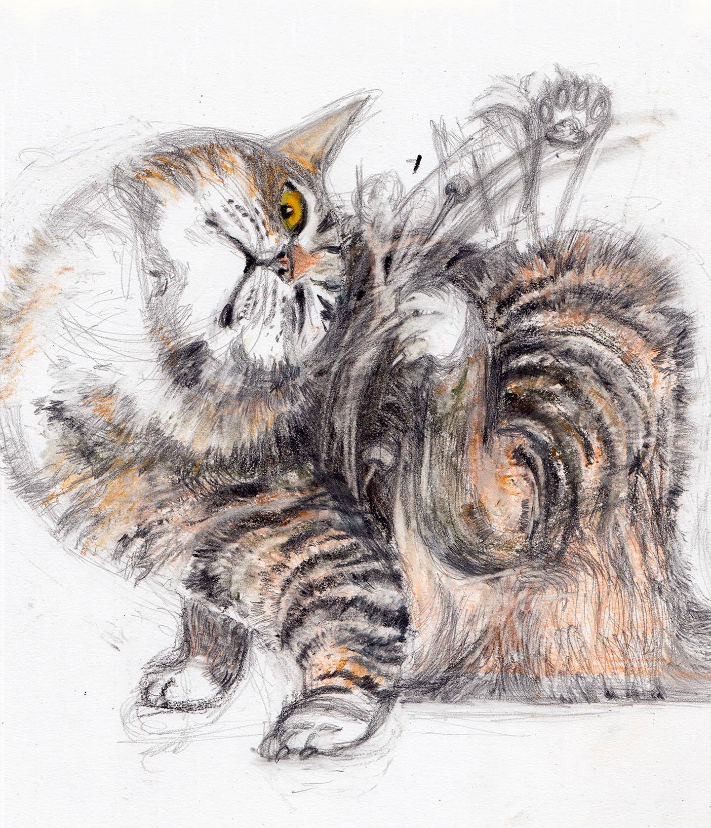 Title: Mastering the Art of Sketching Little Cats with a Lead