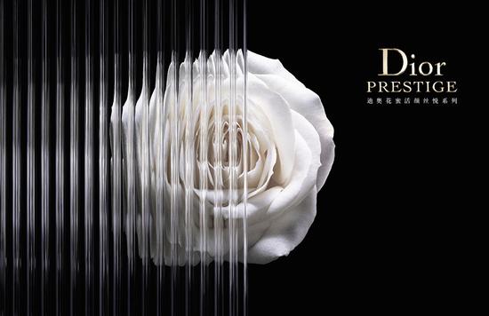 Dior - The Premier Choice for Fashionable Leaders