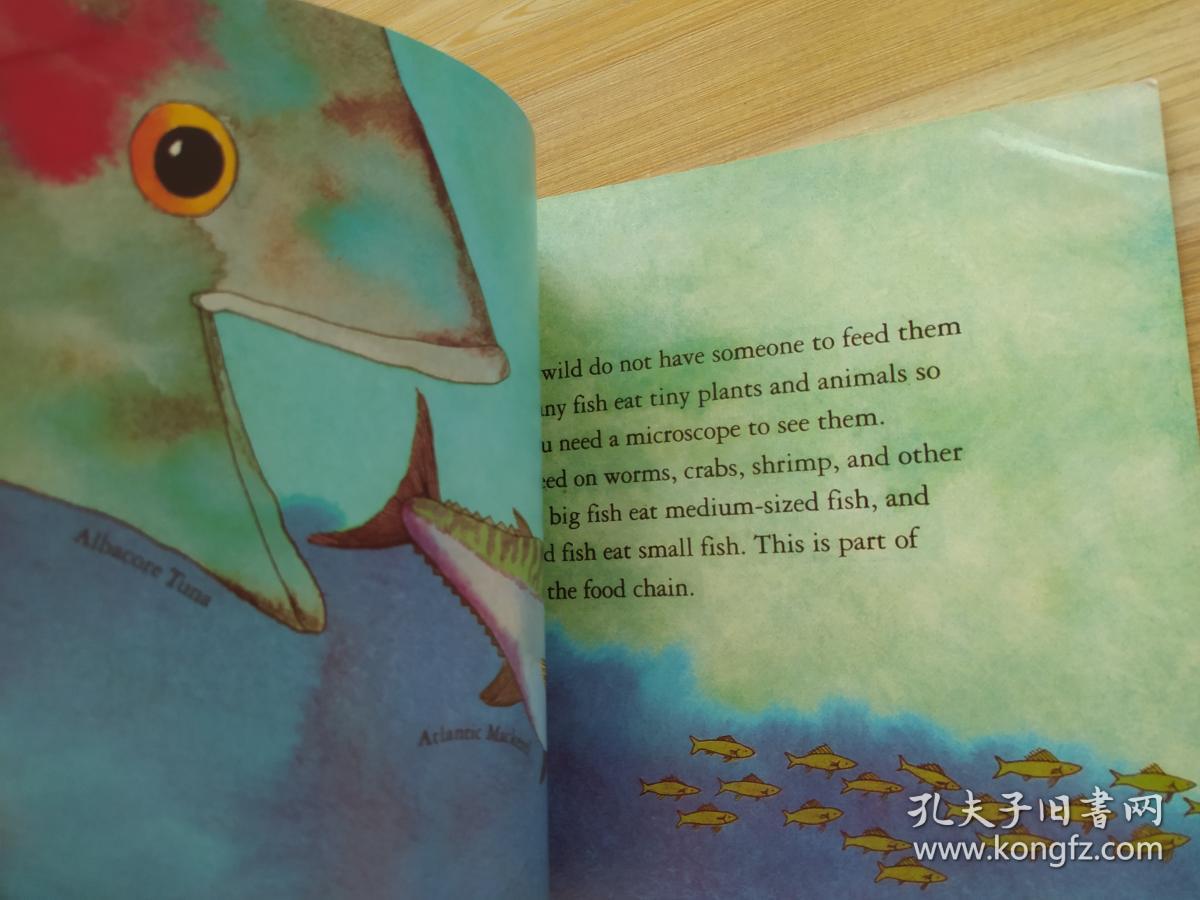 The story of a fish head wearing a tie