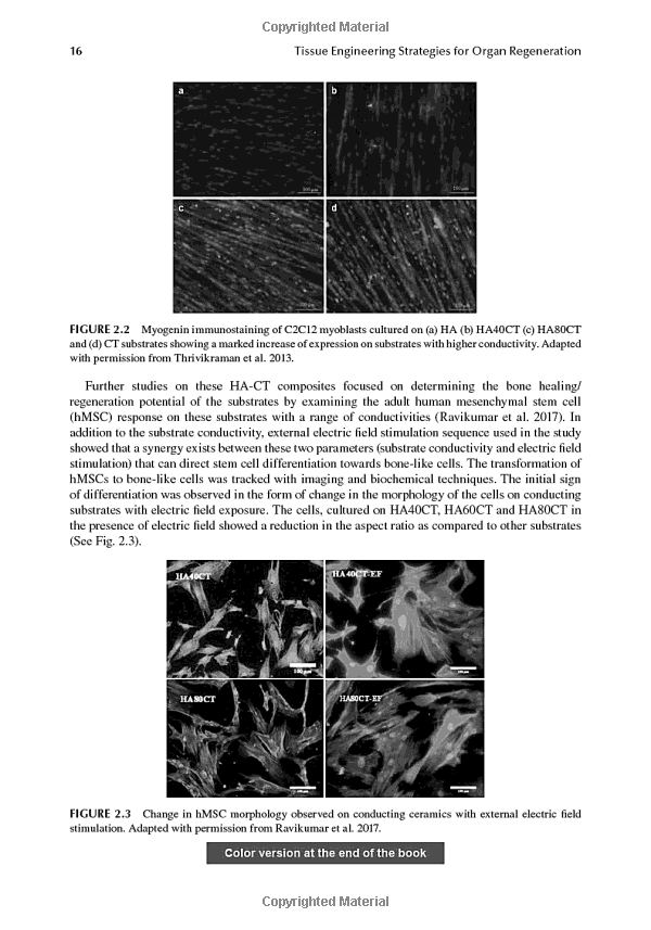 Title: Understanding the Various Types and Materials of Ties