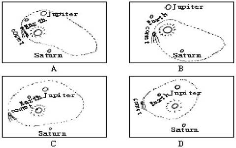 Title: The Distinction between Flat-Collar and Long-Collar Ties