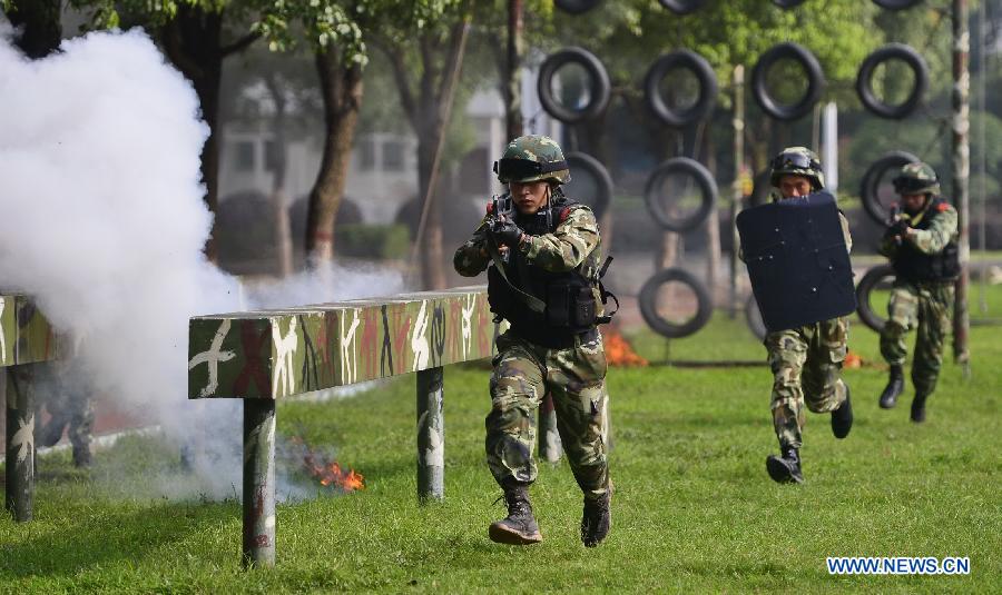 Title: The Distinctive Features of Armed Police Ties and Army Ties