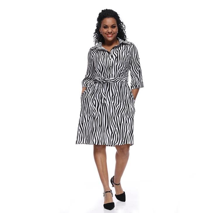 Stripe Tie Patterned Dress for Women