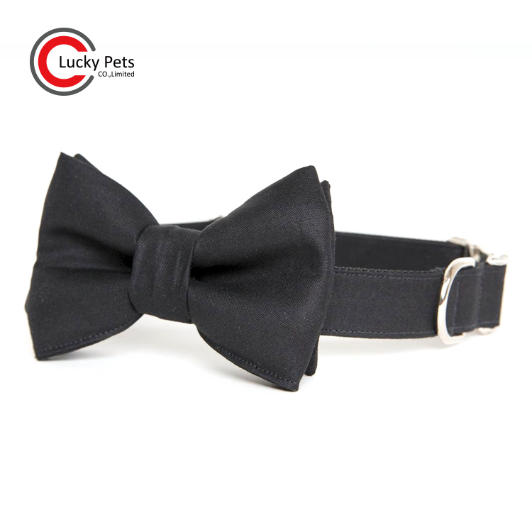 Title: The Wedding Day Caterpillar Tie: A Grooms Unique and Adorable Accessory Choice