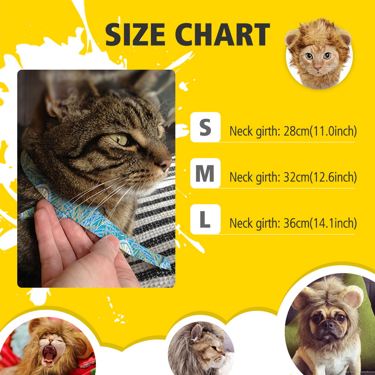 Title: Top Cat Tie Brands Recommended on Zhihu: A Guide for Cat Lovers