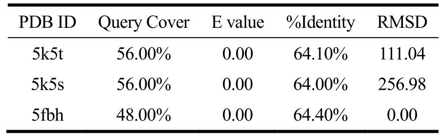 Custom Tie Recommendations for a Budget-Friendly PDD