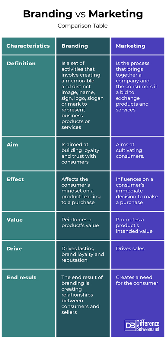 Introduction to the Differences between Belt and Tie Brands: A Comprehensive Guide