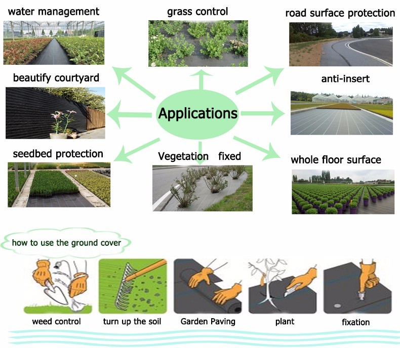 Title: Woven Ties in the Fields: A Paradoxical Journey of Agricultural Exploration