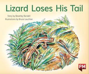 Title: The Tale of the Lizards Tie