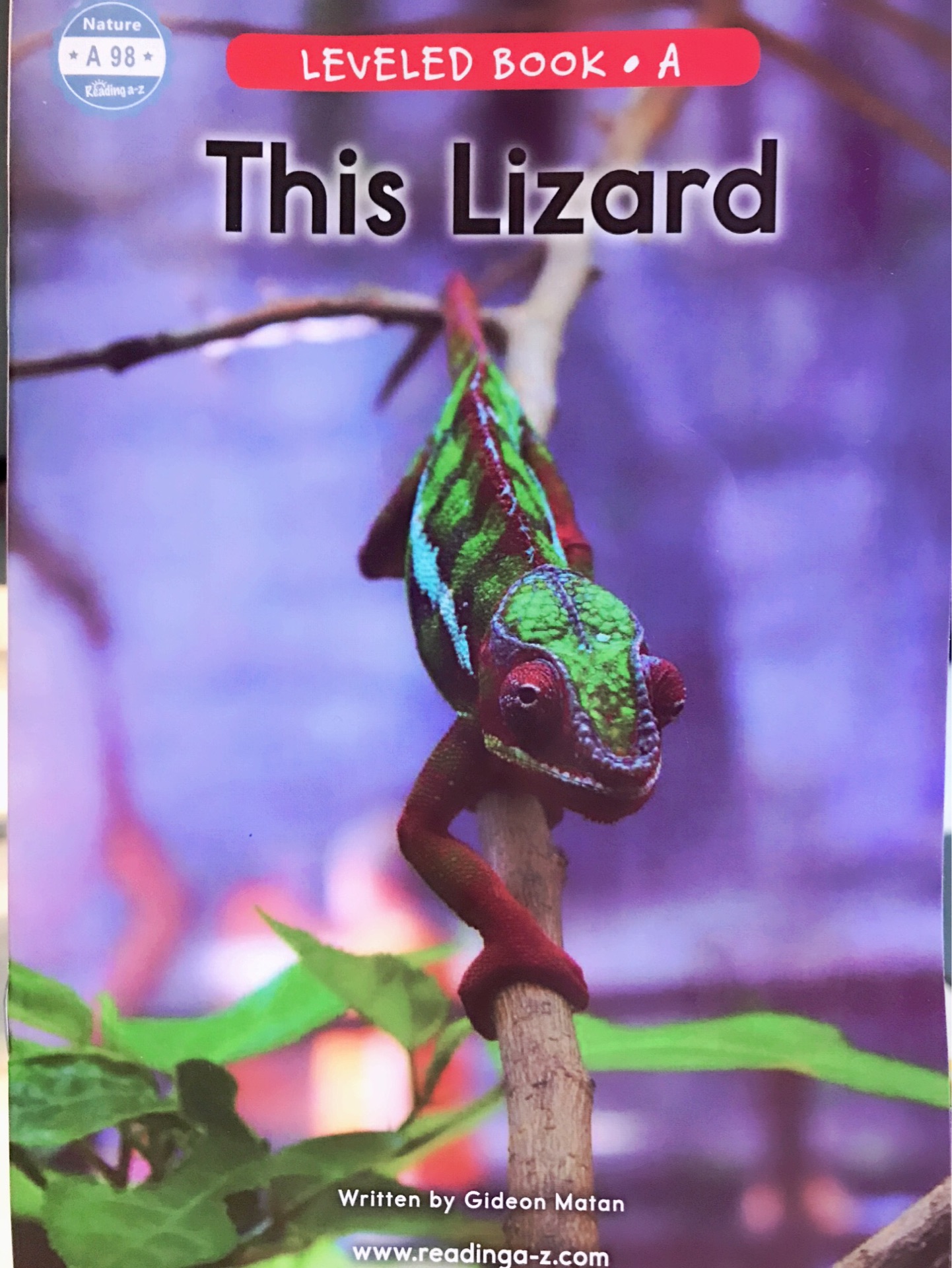 Title: The Tale of the Lizards Tie