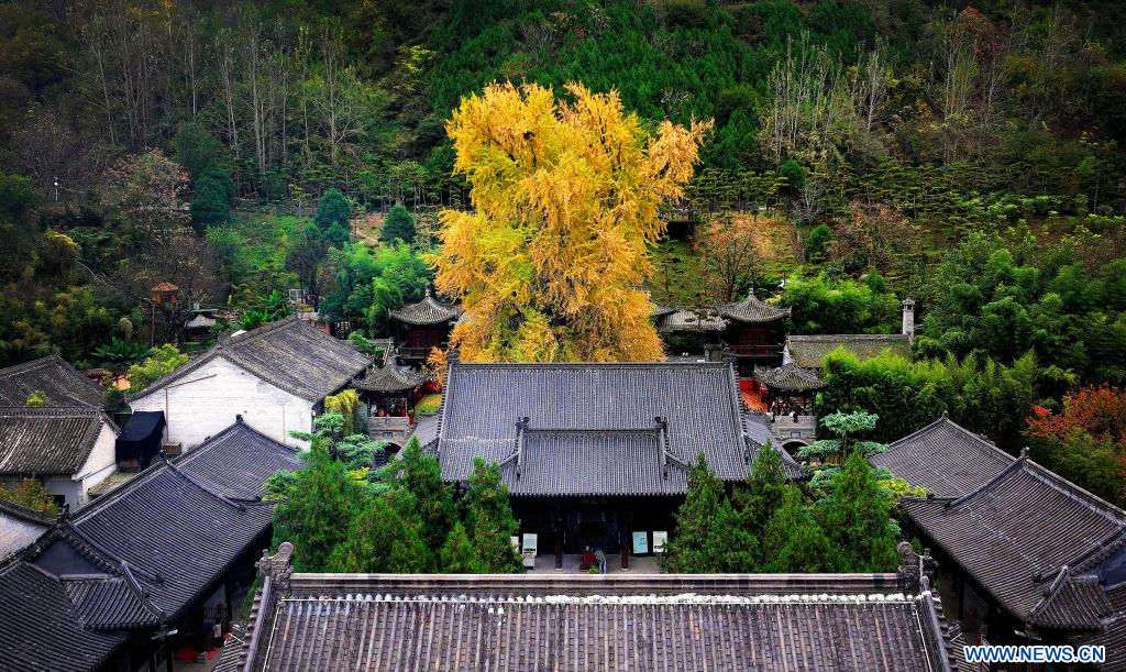 Title: Dong Shan Cais Tie and the Charm of Temple of Taoism