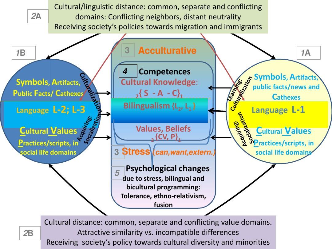 Title: Understanding the Differences Between Non-Elastic and Elastic Bandages