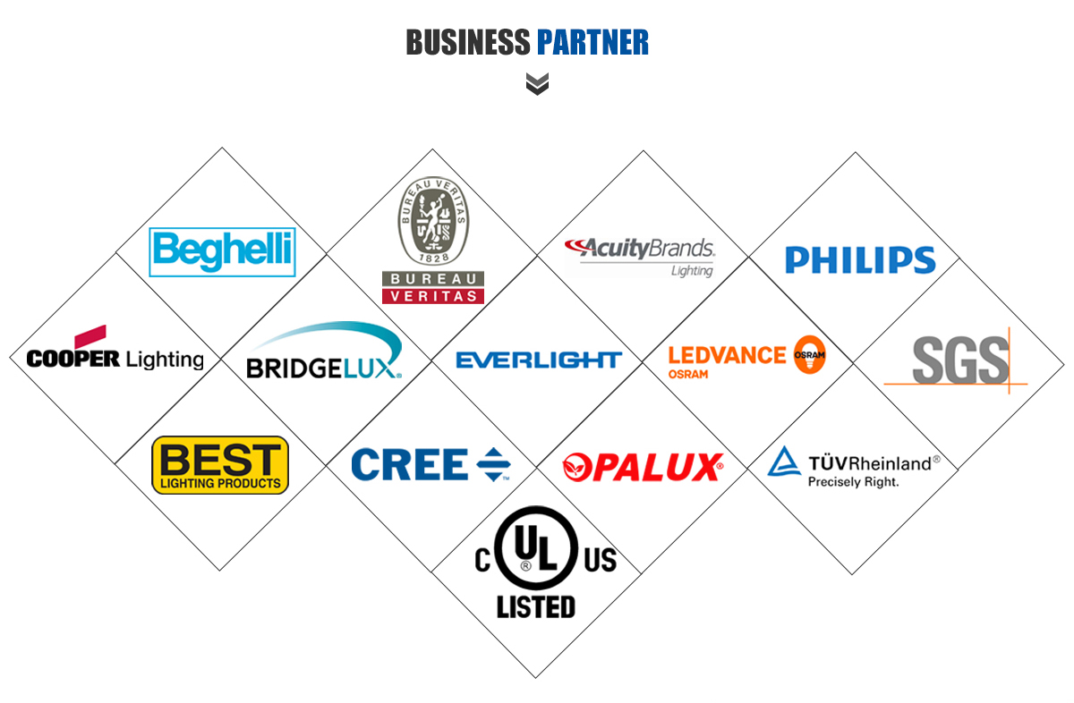 Title: Niche Brands of ForeignTIES