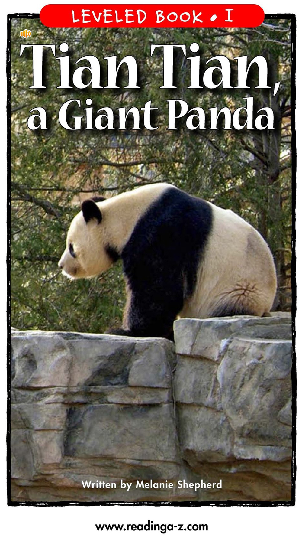 Title: The Pandas Tie: A Tale of Courage and Creativity