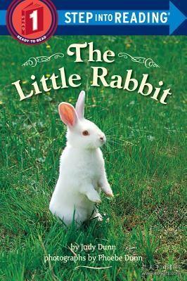 The Story of Little Blue-Tied Rabbit