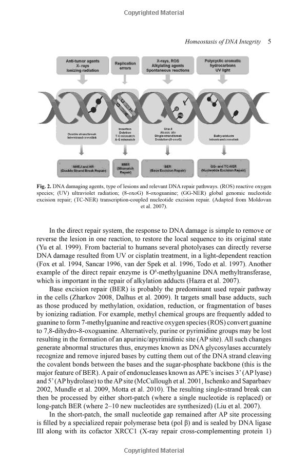 Title: The Enigmatic Allure of Black Tie: An In-Depth Analysis of Its Significance and Symbolism