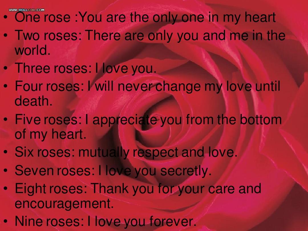 Title: The Color of Your Rose Tie Reveals Your True Love