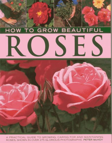 Title: Mastering the Art of Crafting a Rose out of a Tie: A Comprehensive Guide