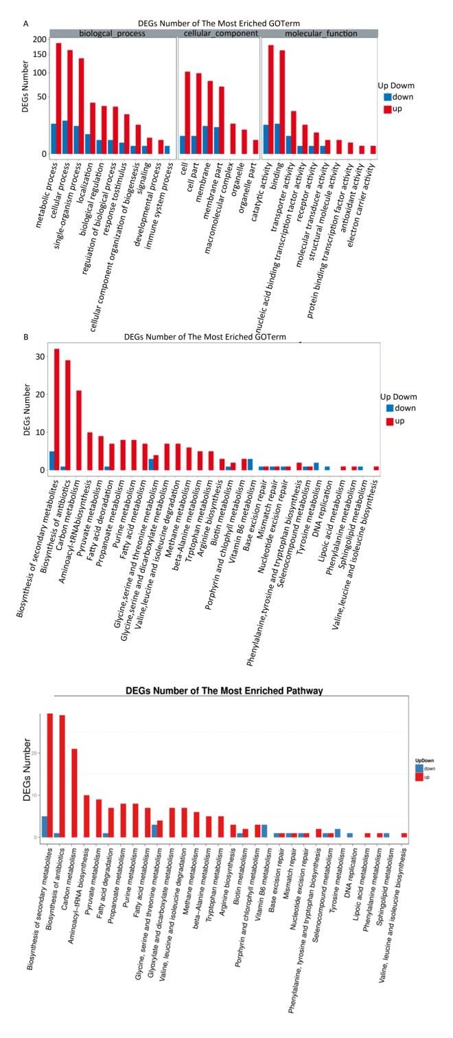 Title: Unraveling the Mysteries of the Red Tie: A Comprehensive Brand Analysis