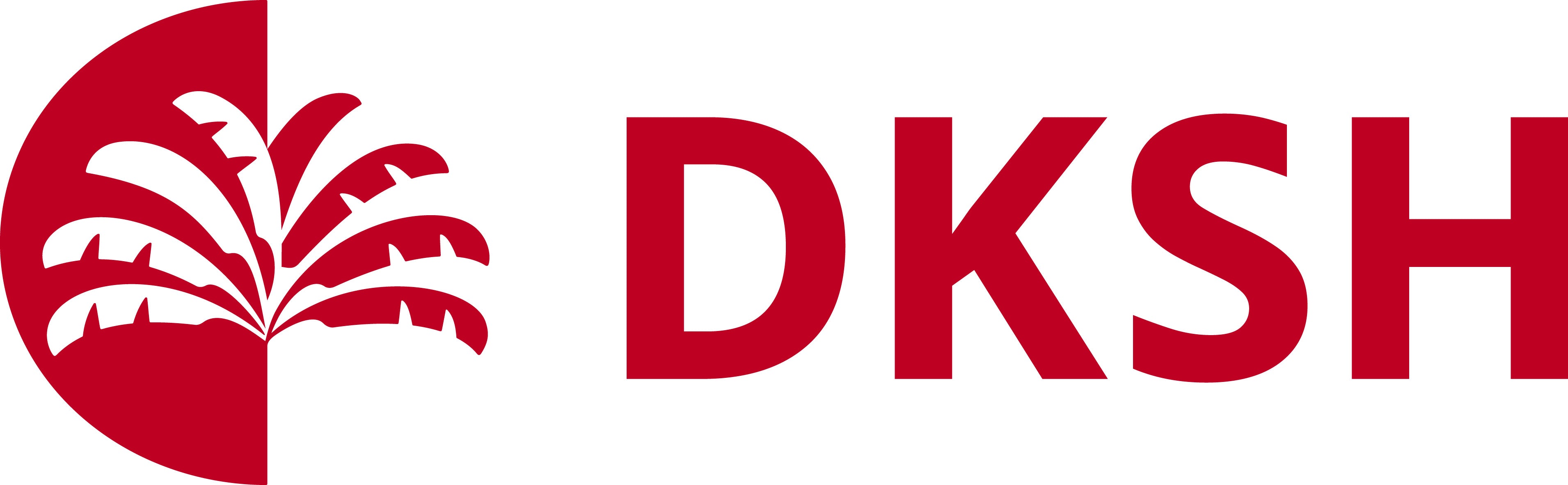 Title: Understanding the Essence of Dk H Brand Ties: An In-Depth Exploration