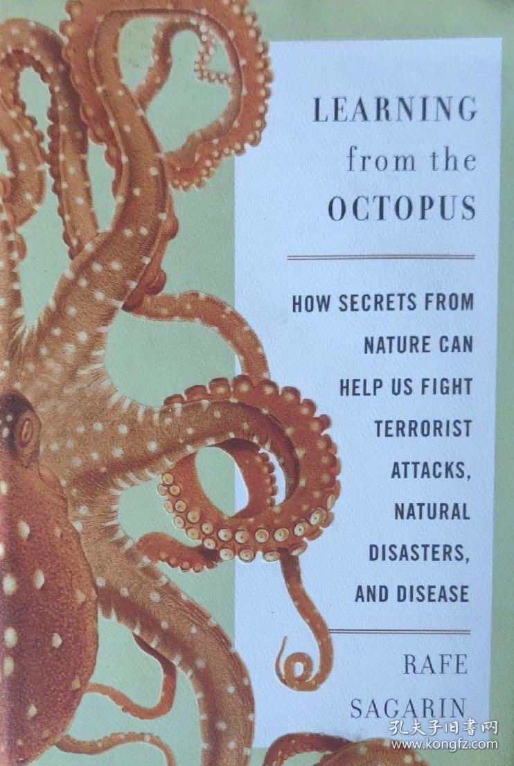 Title: How Octopus Dad Managed to Find All the Ties in Record Time