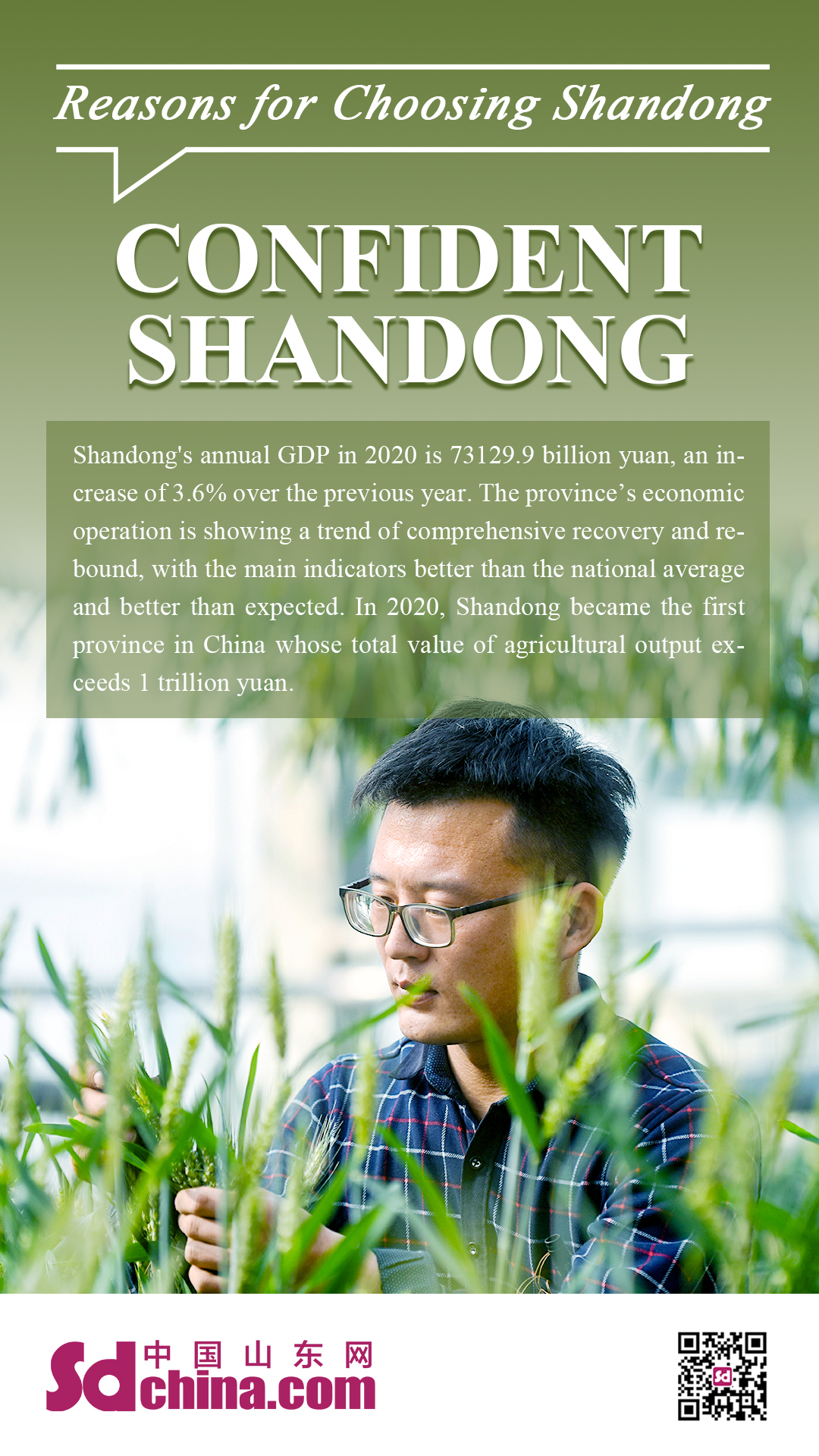 Title: The Story of Shandong Mens Ties