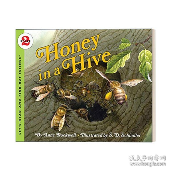 Title: The Tale of the Honey-浸满蜂蜜的领带